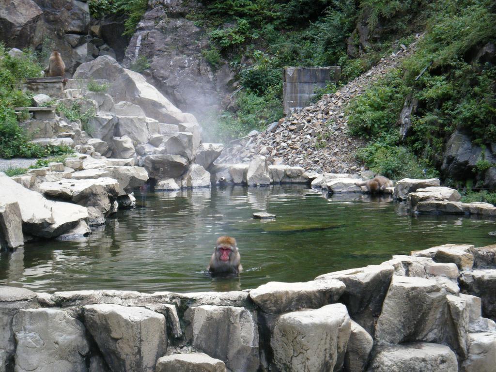 Madarao Farm Nakano (Nagano) Exterior foto